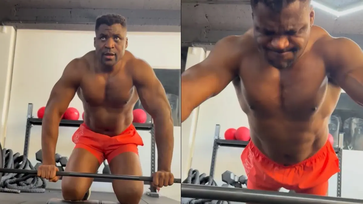 @francisngannou